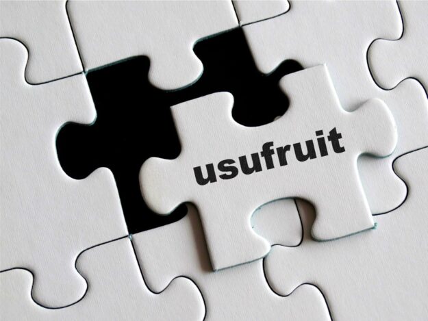 puzzle usufruit